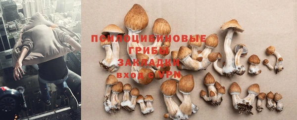 COCAINE Алексеевка