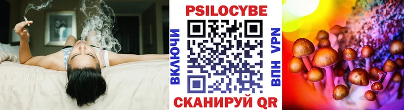 как найти наркотики  Находка  Псилоцибиновые грибы GOLDEN TEACHER 